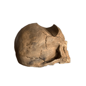 skeleton head controller stand khaki